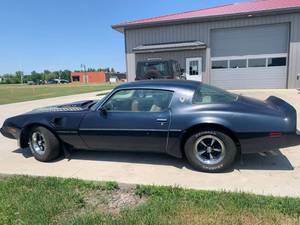 1981 Trans Am Turbo (only 72K miles)
