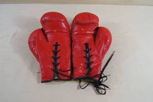 12 Ounce Everlast Boxing Gloves