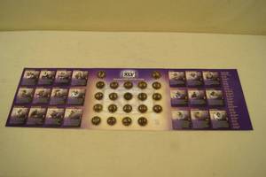 Minnesota Vikings Medallion Collection