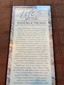 lot 256 image: Lifes Little Instructions Framed Art