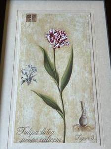 lot 280 image: 2 Tulip Framed Art Pieces