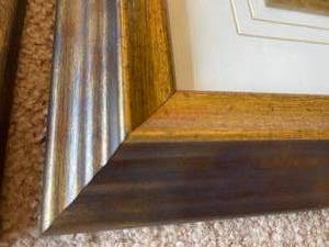 lot 282 image: 2 Gold Framed Floral Prints By Lisa Audit