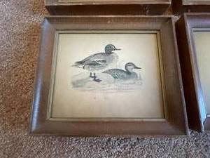 lot 308 image: Vintage Water Fowl Framed Art