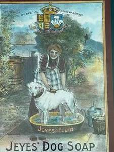lot 364 image: Jeyes Dog Soap Framed Art
