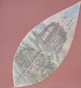 lot 417 image: Framed Leaf Art