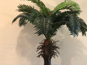lot 101 image: Faux Palm Tree