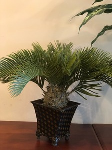lot 100 image: 2 Faux Plants