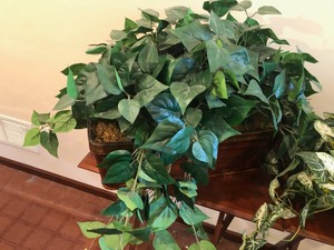 lot 103 image: 2 Fabulous Faux Plants