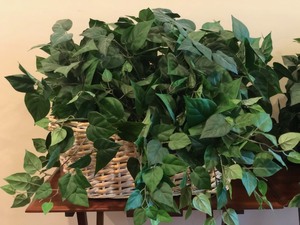 lot 104 image: 2 Fine Faux Plants