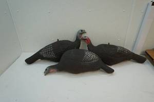 Turkey decoys