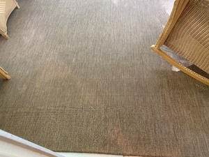 lot 12 image: Neutral IndoorOutdoor Area Rug