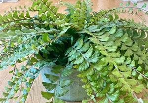 lot 86 image: Large Faux Plant
