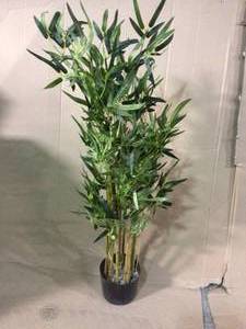 lot 20 image: 64 in. Bamboo Silk Tree by Nearly Natural Customer Return See pictures