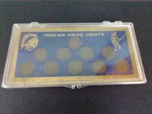 lot 20 image: 10 Indian Head Pennies in Case