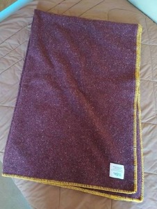 lot 76 image: U of M Faribault Blanket
