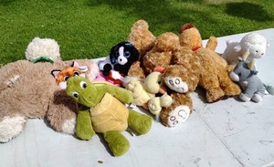 lot 98 image: Collection Of Stuffed Animals