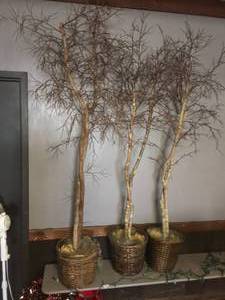 lot 79 image: Lot of Three Approx. 60 Decorative Winter Trees