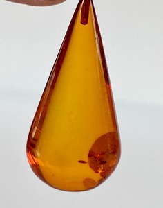 Teardrop Shaped Amber Earrings