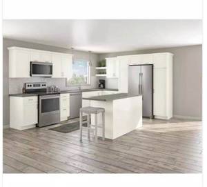 lot 54 image: Courtland Shaker Assembled 24 in. x 30 in. x 12 in. Stock Wall Kitchen Cabinet in Polar White Finish