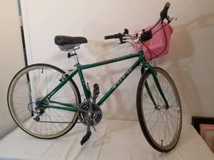Vintage Trek Bicycle