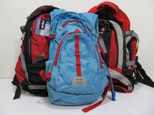 lot 230 image: 3 Nice Backpacks - Unused