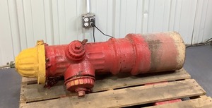 lot E-114 image: Fire Hydrant