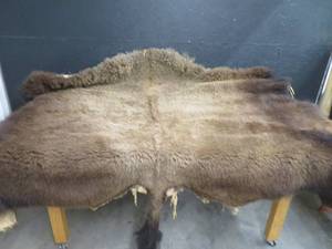HUGE BUFFALO HIDE