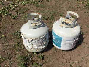 lot 29 image: 2 #20 Propane Cylinders