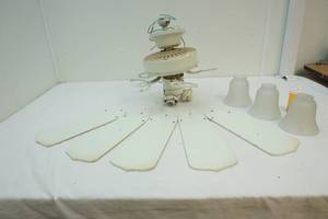 Ceiling lightfan