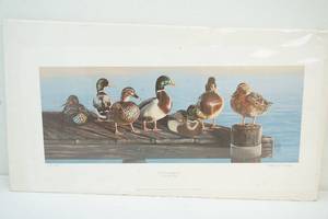 Beverly Scalze print