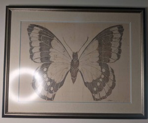 lot 368 image: Beautiful Butterfly Wall Art by Hedges