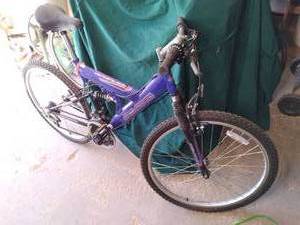 lot 12 image: Decent Pro Free Spirit 21 Speed Bic...