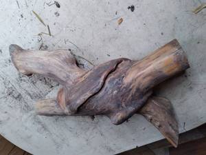 lot 279 image: Large Burl Wood Peice