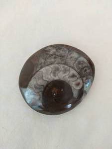 Fossil