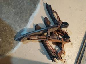 Old Skates