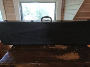 Large gun case