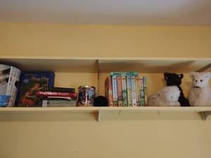 Books and stuffed animals