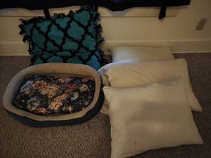 Dog bed and pillows