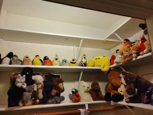 Stuffed animals