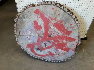 lot 42 image: Large Log Wood Slice - About 30 Diameter and 4 Wide