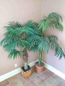 2 large fake plants with planters
