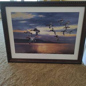 Daybreak at Lake Pepin- Migrating Canvasbacks Print by David A. Maass