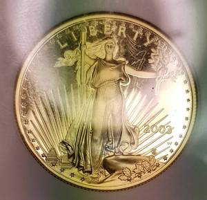 2003-W PROOF US $50 GOLD EAGLE PF70 NGC 1 OZ GOLD