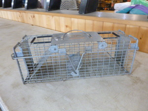 lot 159 image: Little Giant Live Trap