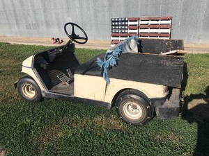 lot 8 image: Hyundai Gas Golf Cart
