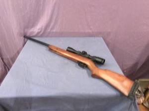 lot 83 image: Pellet Rifle with Scope