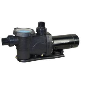 lot 749 image: Everbilt 1.5 HP 230-Volt115-Volt Pool Pump, SPP15002