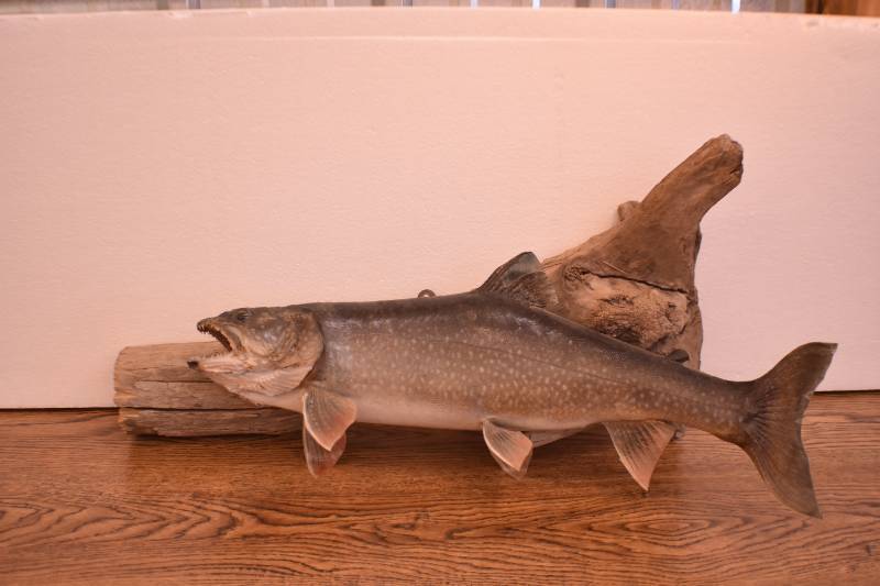 Fish Collectability Household & Estate Auction in Sauk Centre, MN | Bid Online | K-BID