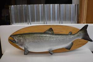 Salmon Mount