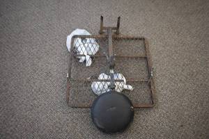 Deer Stand